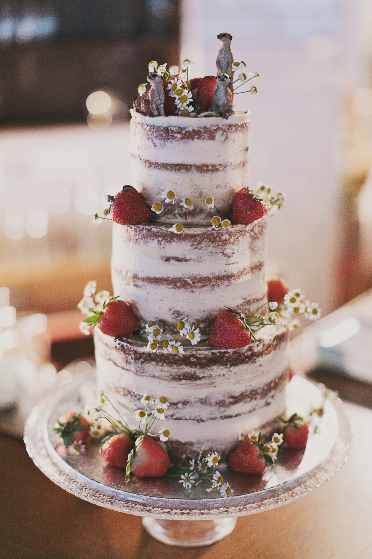 Ernestineetsafamille-wedding and life photographer_BF-77