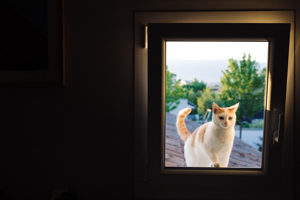 Ernestine-et-sa-famille-wedding and life photographer_MG ‣ Photographe de famille à l'approche documentaire pour vos évènements ou votre vie quotidienne, à Paris et dans toute la France reportage de baptême dans la drome photographe de famille
