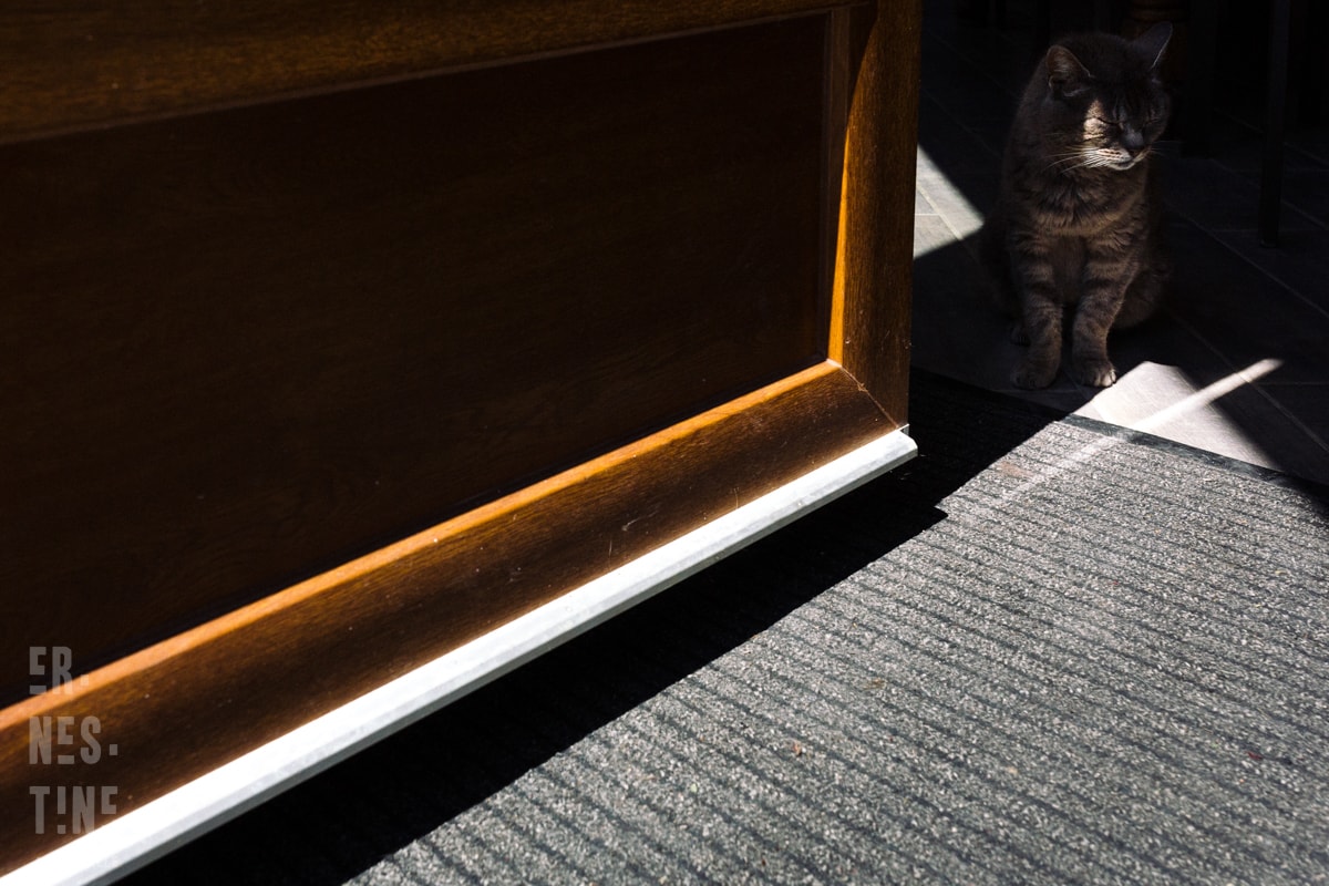 Ernestine-et-sa-famille-wedding and life photographer-4 ‣ Photographe de famille à l'approche documentaire pour vos évènements ou votre vie quotidienne, à Paris et dans toute la France reportage documentaire de famille à Besançon par Ernestine et sa famille