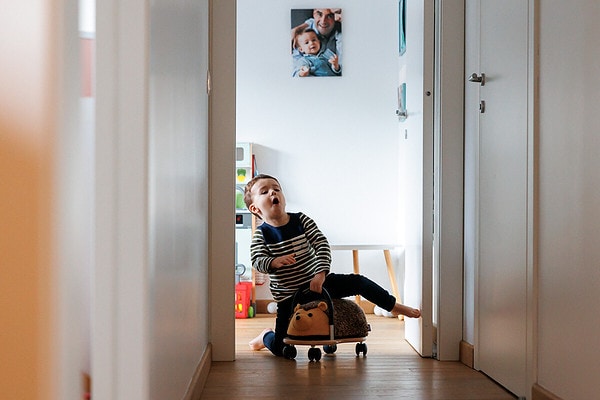 course sur hérisson dans le couloir. Reportage de vie quotidienne à domicile à Issy les Moulineaux.